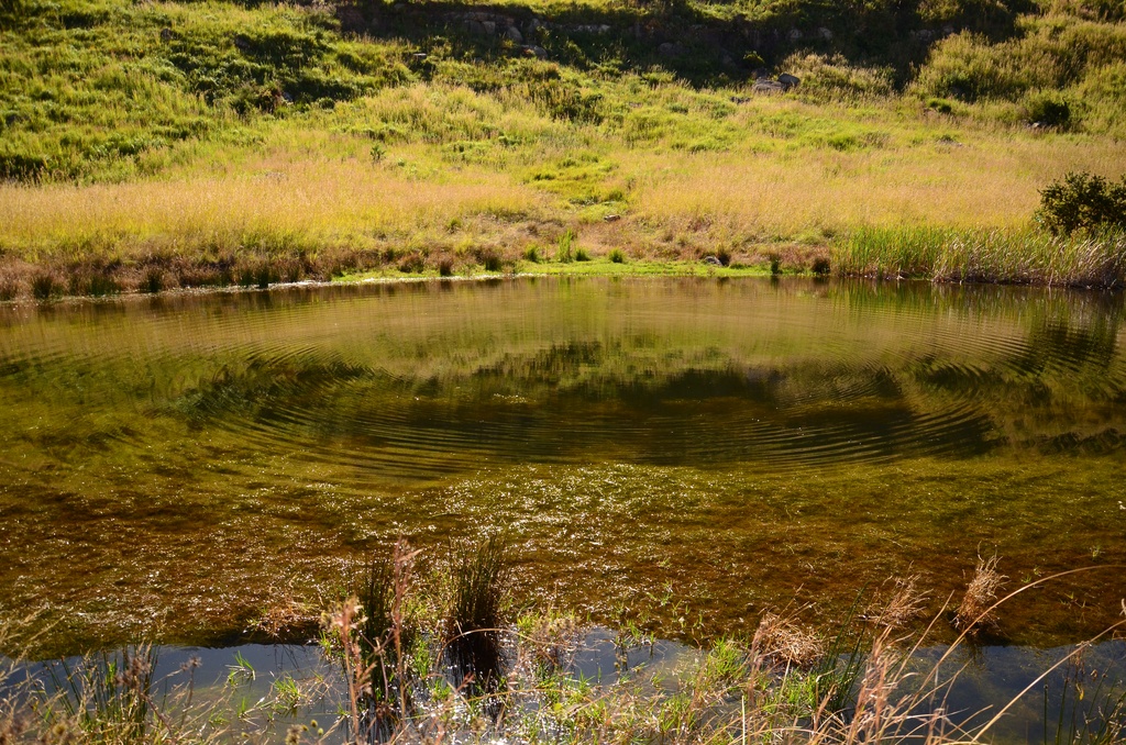 2015-05 South Africa/Drakensburg/DSC_0178.JPG